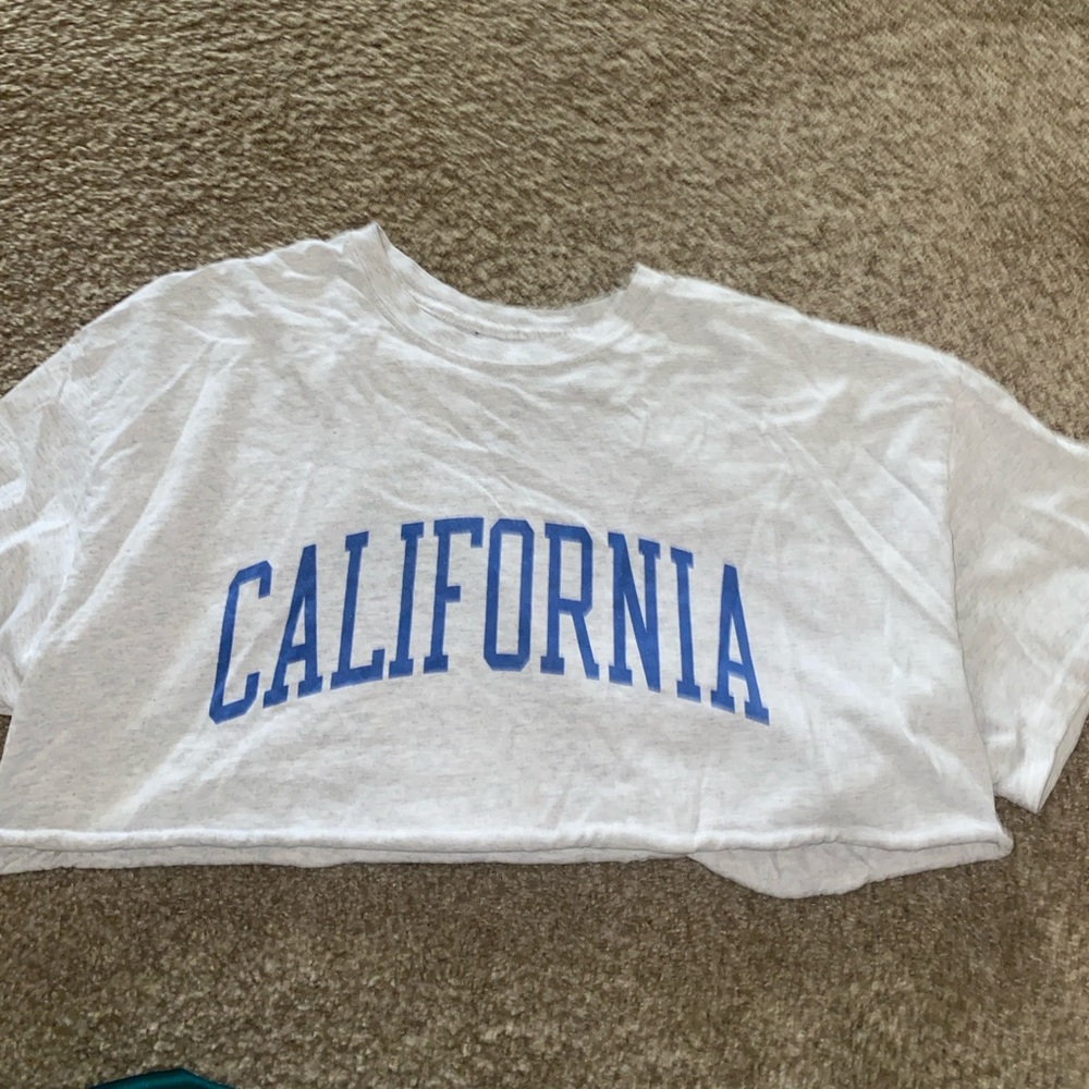 brandy melville cropped tee
